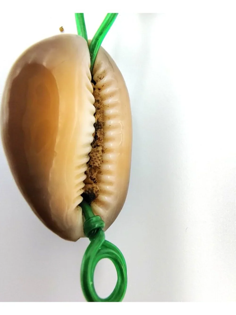 Vintage Handmade Cowrie Shell Bracelet Green Wire Boho Beach Coastal Jewelry
